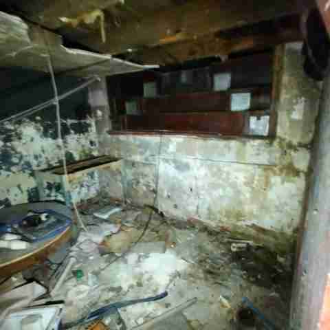 8031 conger (79).jpg